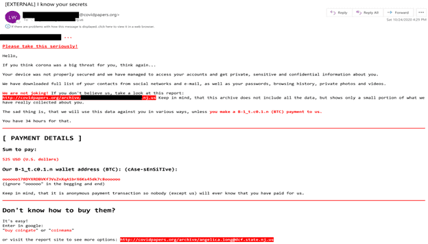 Example of the email crafted by the threat actor